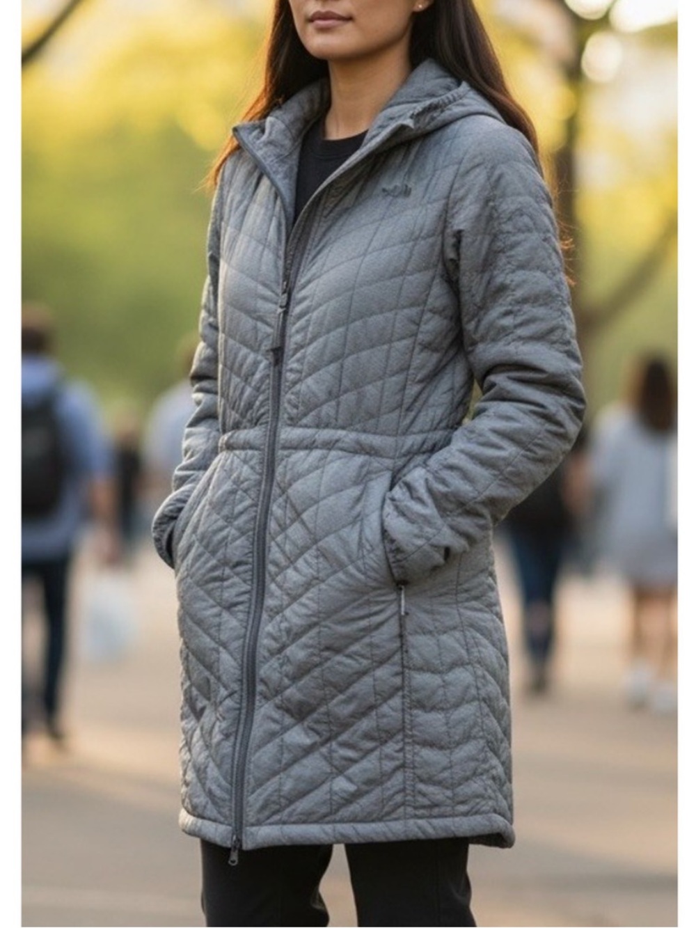 The North Face Thermoball Hooded Parka Gray Large - Picture 2 of 16